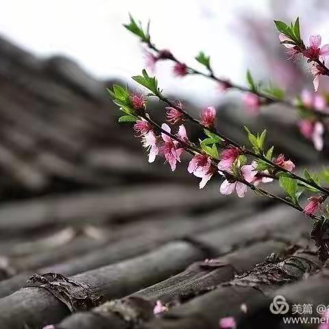 师生在线学习，静待春暖花开—扎兰营子镇学校