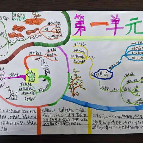 【厚积薄发】 中山路第五小学五二班寒假语文作业展示