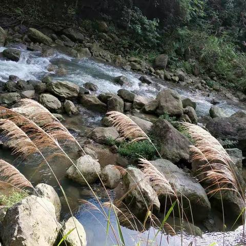 七月三清山，烟雨湖山，人生所遇，皆是风景