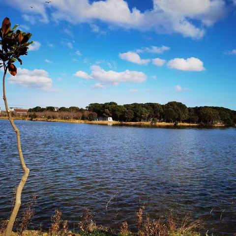 挽秋（2021.11.27--11.28）