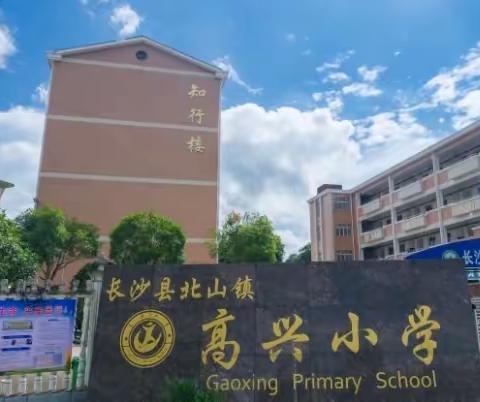 快乐争章 “暑”你最棒——高兴小学2023年暑假实践“红领巾奖章”争章活动