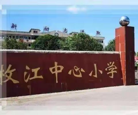 家校携手共战“疫”，线下家访暖人心——枚江中心小学开展线上学习家访活动