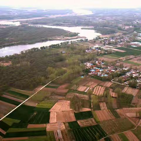 走进古森林（六）——油板栗古树林