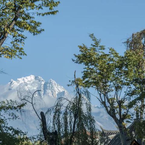 走进古森林（七）——云南普达措森林公园