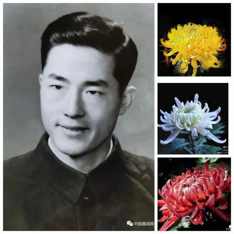 一枝白菊寄哀思