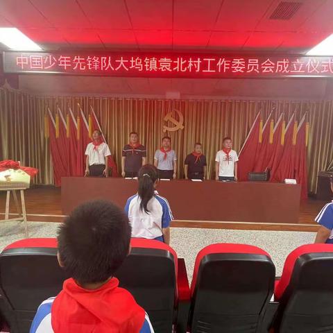 中国少年先锋队大坞镇袁北村工作委员会成立仪式