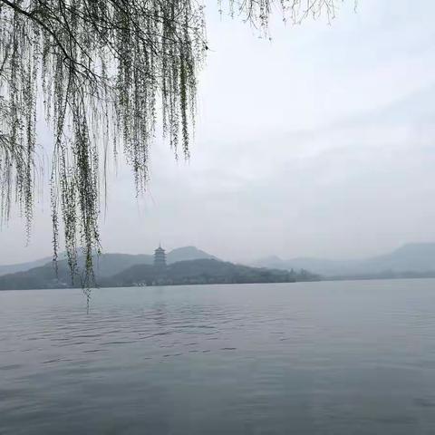 海洋之舟的美篇