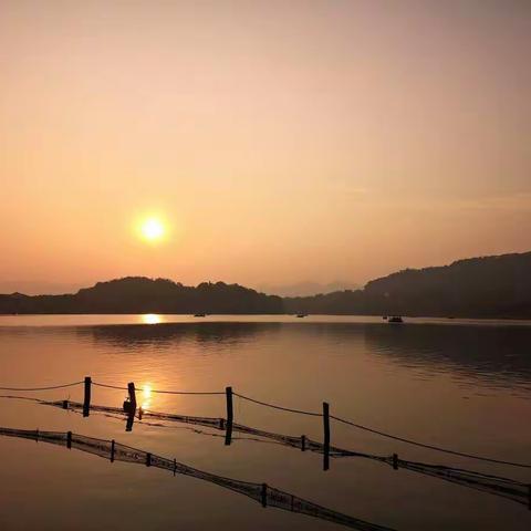 进入12月份的杭州风景更是迷人。毛家埠是城市中的西溪湿地、曲院风荷赏残荷叶、断桥不断赏落日。