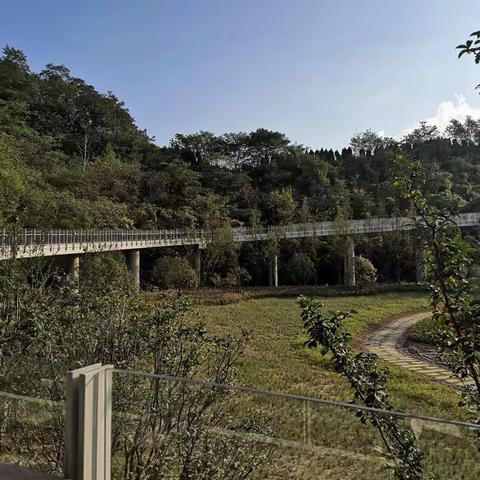 2020年10月长假都去了哪儿？  凤凰山公园 —南湖公园—青山湖—八百里老街—龙坞—塔山公园