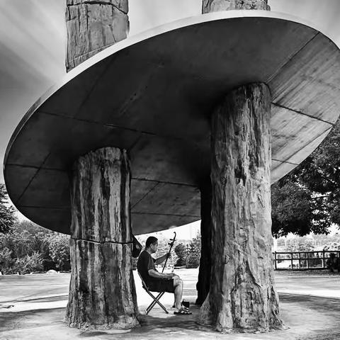 黑白影调（二）