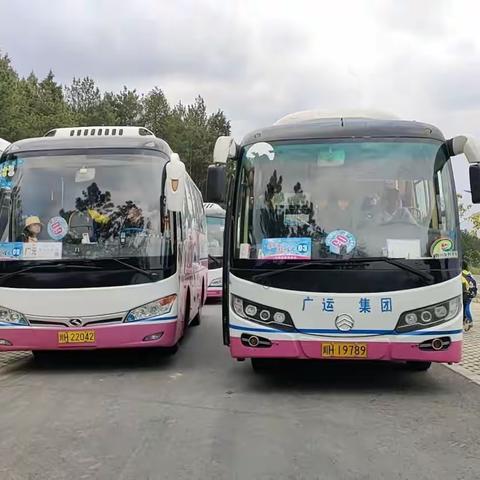 书虫部落之“耕耘龙潭赏春光、劳作田间践真知”主题劳动实践活动