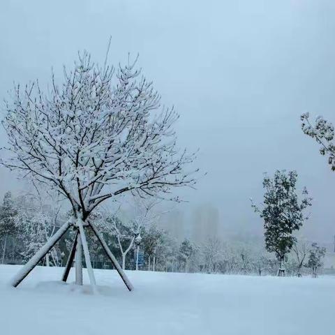 下雪啦