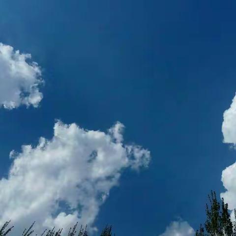 见证快乐家务 培养良好品德