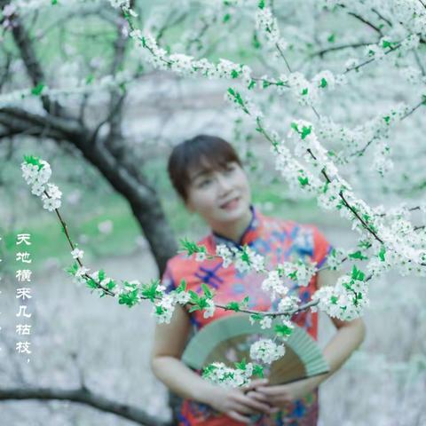 春暖花开