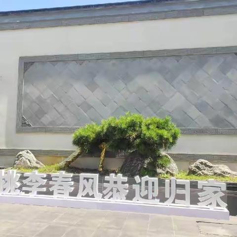 桃李春风40栋101最新进度