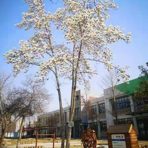 “疫”样时光，同样精彩——小五班线上教学