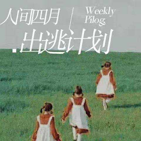 四月逃跑计划