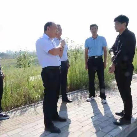 园林村环境卫生大整治