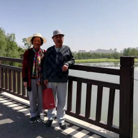 畅游洋湖湿地公园