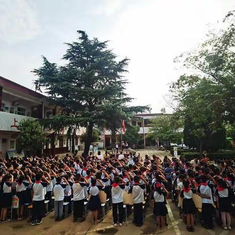 杨楼镇石台小学开学典礼