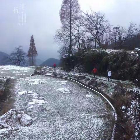 秋意浓浓