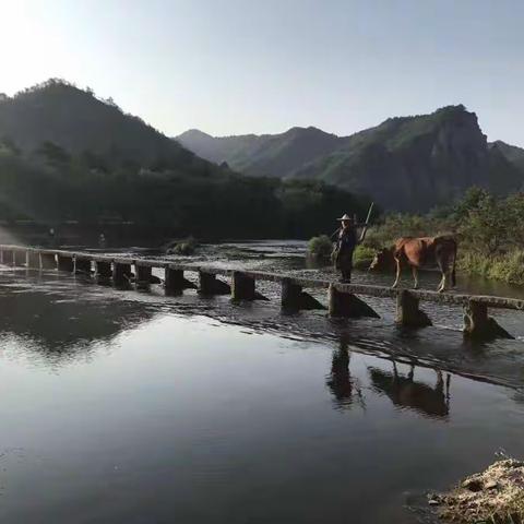 丽水游