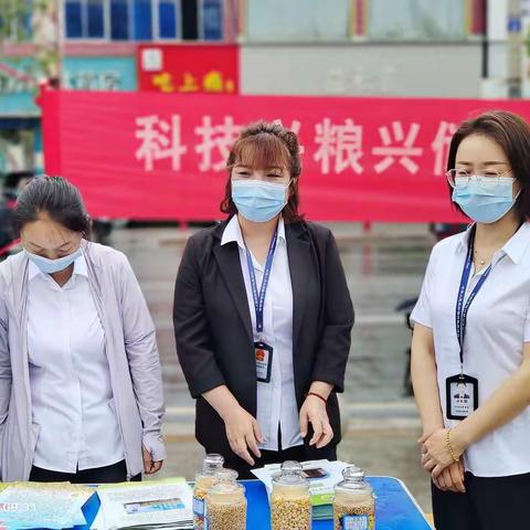 礼泉县粮食局开展“粮食科技周”宣传活动