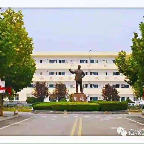 春华秋实 细耕实作  谱写龙小教学管理新篇章——龙河小学教导处2020年度工作纪要