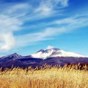 咬定青山不放松 立根原在破岩中