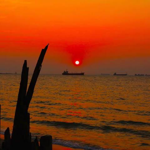 行摄日记（南国篇）