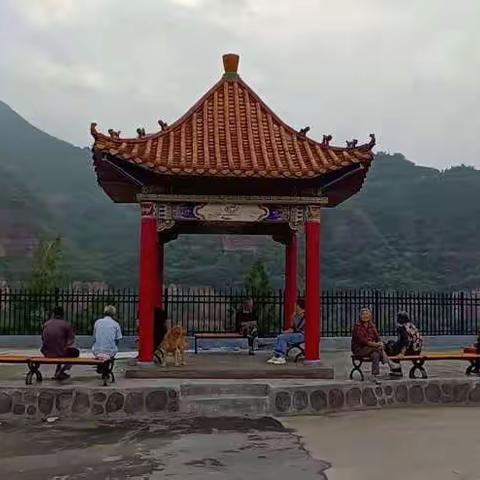 豆口村“六乱”整治在行动，全面提升人居环境见成效