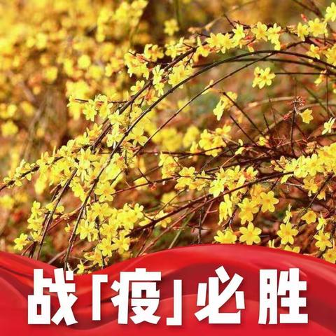 抗击疫情 停课不停学