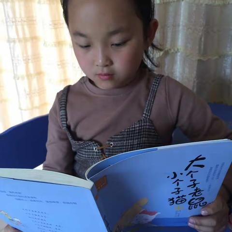 《大个子老鼠，小个子猫》读后感