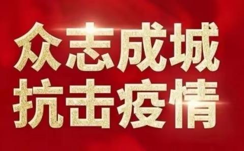 三十里铺村：战“疫”先锋——村党委书记的抗疫路