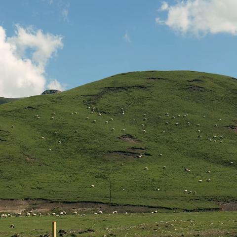 想过吗？去青甘旅行！(二)（副本）