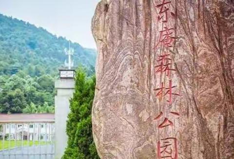 去过东庵森林公园吗？