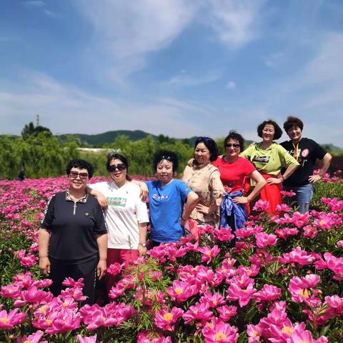 姐妹情系百花园