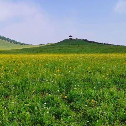 乌兰布统草原美