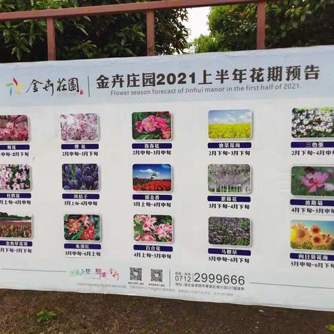 金卉庄园社会实践活动