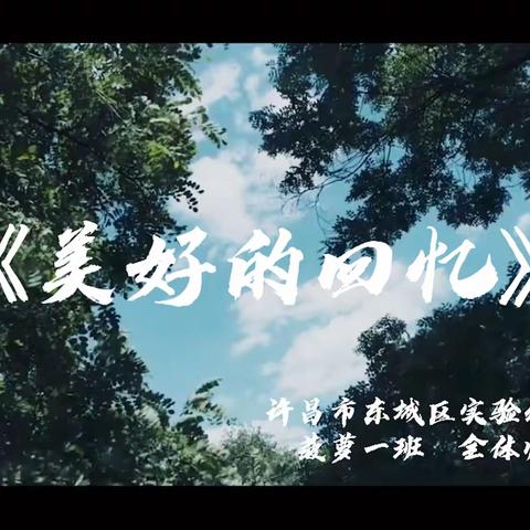 许昌市东城区实验幼儿园菠萝一班《美好的回忆》