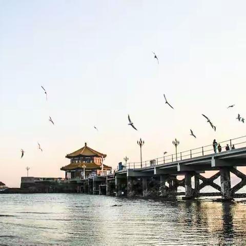 回顾2018上合青岛峰会