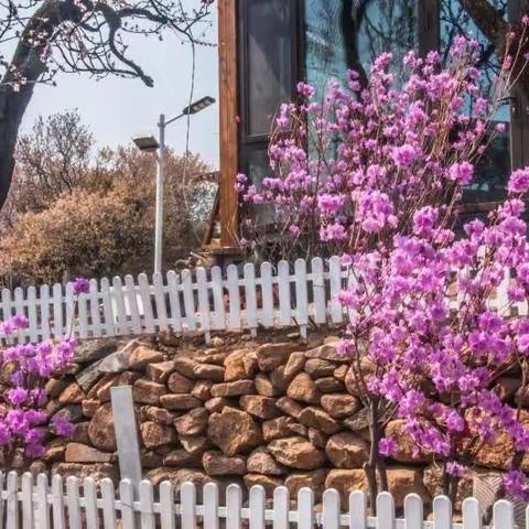 花开时节游庙石村