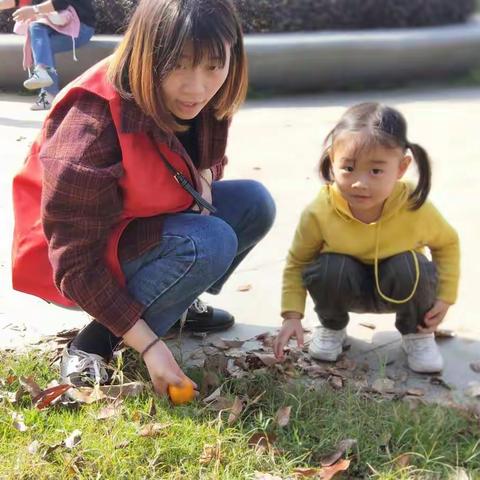 【家园互动】 走,秋游去