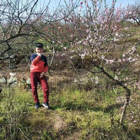 开州区汉丰七校2017级2班   王俊涵         别样的时光，特别的爱！