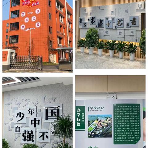 发展思维 提升能力——洪山区中教科、教科院领导与专家莅临武汉市书城路中学开展教学联合视导工作