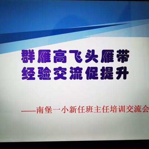 群雁高飞头雁带     经验交流促提升——南堡一小新任班主任培训交流会（第三期）