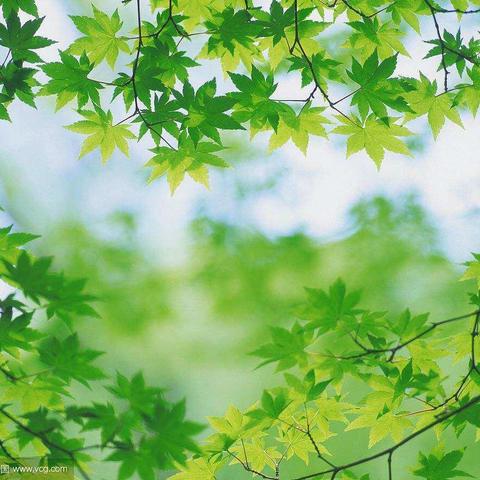 张村中心校西沟小学教师公开课