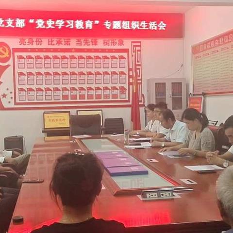 城关街道崔家河村党支部召开“党史学习教育”专题组织生活会