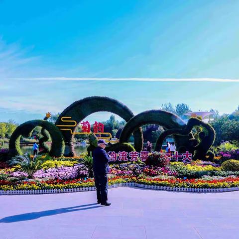 菊韵•西安植物园