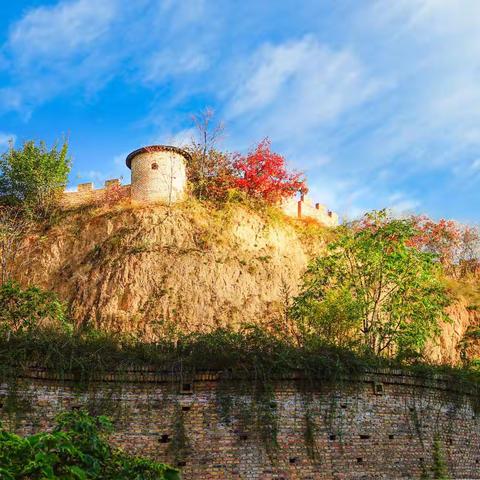 游铜川棉花库